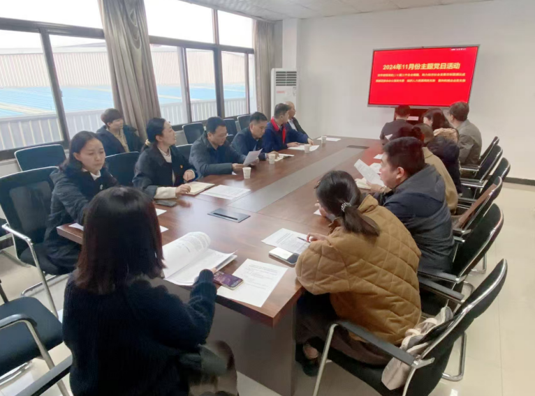 深入學(xué)習(xí)黨的二十屆三中全會(huì)精神，開(kāi)展主題黨日活動(dòng)